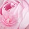 10" Mini Ranunculus Pick by Ashland®