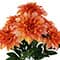 19" Dahlia Bush by Ashland®