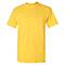 Gildan® Short Sleeve Adult T-Shirt