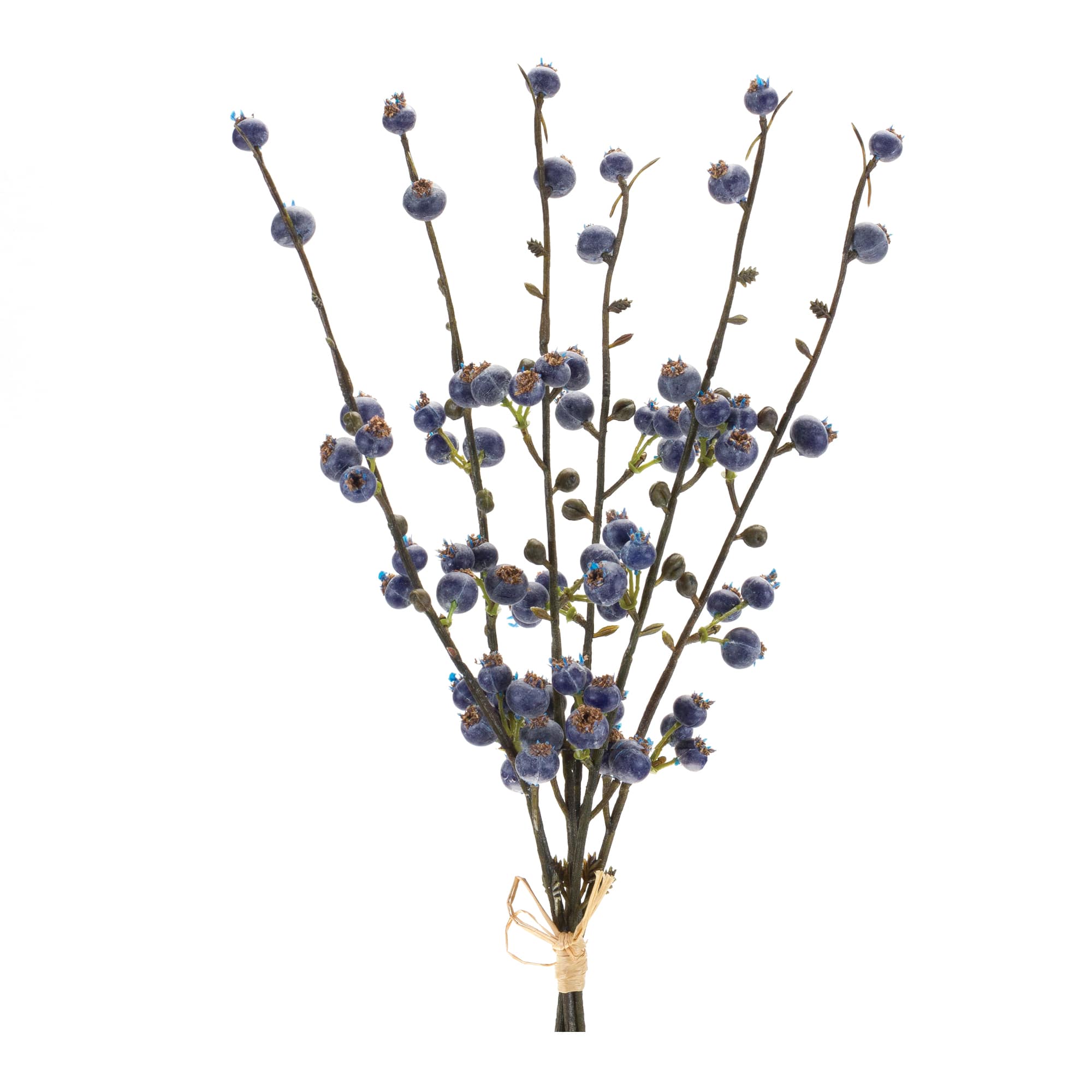 Blue &#x26; Brown Winter Berry Twig Bundle, 6ct.