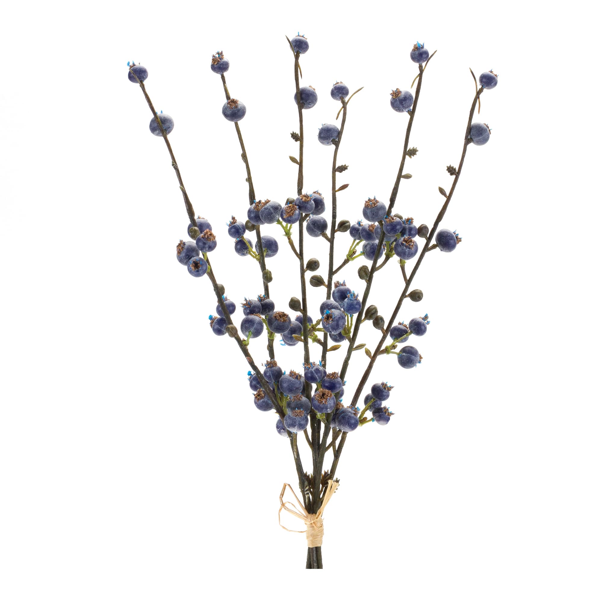 Blue & Brown Winter Berry Twig Bundle, 6ct.