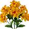 19" Plumeria Bush by Ashland®