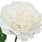 28" Peony Stem by Ashland®
