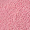 PME Cake Sweet Street® 3.8oz. Nonpareils Sprinkles