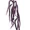17" Amaranth Pick by Ashland®