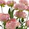 21.5" Ranunculus Bush by Ashland®