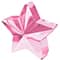 Star Balloon Weight