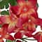 6ft. Frangipani Garland by Ashland®