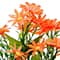 21" Mini Daisy Basic Bush by Ashland®