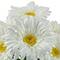 13" Potted Daisy by Ashland®