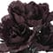 Halloween Peony Bush by Ashland®