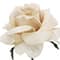 27" Velvet Rose Stem by Ashland®