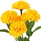 12" Carnation Bush by Ashland®