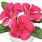 4" Geranium in White Pot by Ashland®
