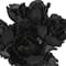 Halloween Peony Bush by Ashland®