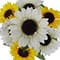 17.5" Sunflower Bush by Ashland®