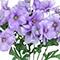 18" Butterfly Ranunculus Bush by Ashland®