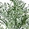 17" Fiscus Bush by Ashland®