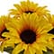 14" Potted Sunflower by Ashland®