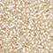 John Bead Miyuki® 11/0 Glass Seed Beads, 250g