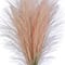 24" Pampas Grass Bush by Ashland®
