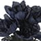 Halloween Peony Bush by Ashland®