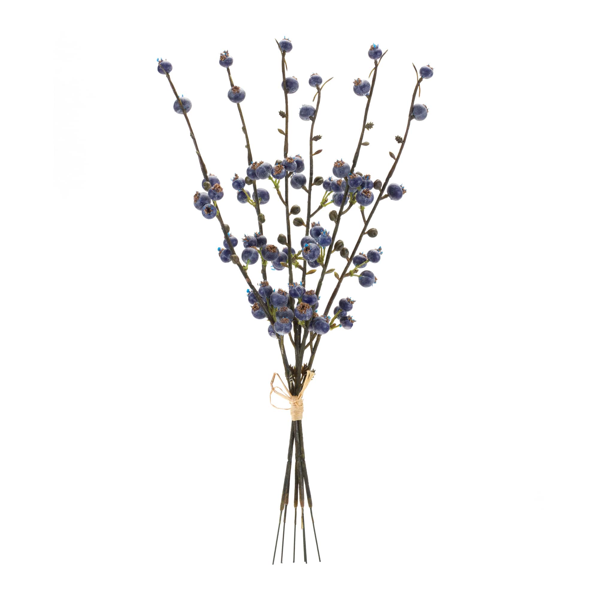Blue & Brown Winter Berry Twig Bundle, 6ct.