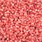 John Bead 11/0 Miyuki Delica Glass Seed Beads, 5g