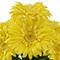 13" Potted Daisy by Ashland®