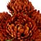 17" Mum Bush by Ashland®