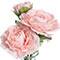 9.5" Premade Ranunculus in Glass Vase by Ashland®