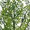 17" Fiscus Bush by Ashland®