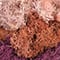 Mixed Reindeer Moss by Ashland®