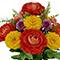 18" Scabiosa & Ranunculus Mix Bush by Ashland®