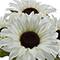14" Potted Sunflower by Ashland®
