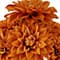 19.5" Fall Dahlia Bush by Ashland®