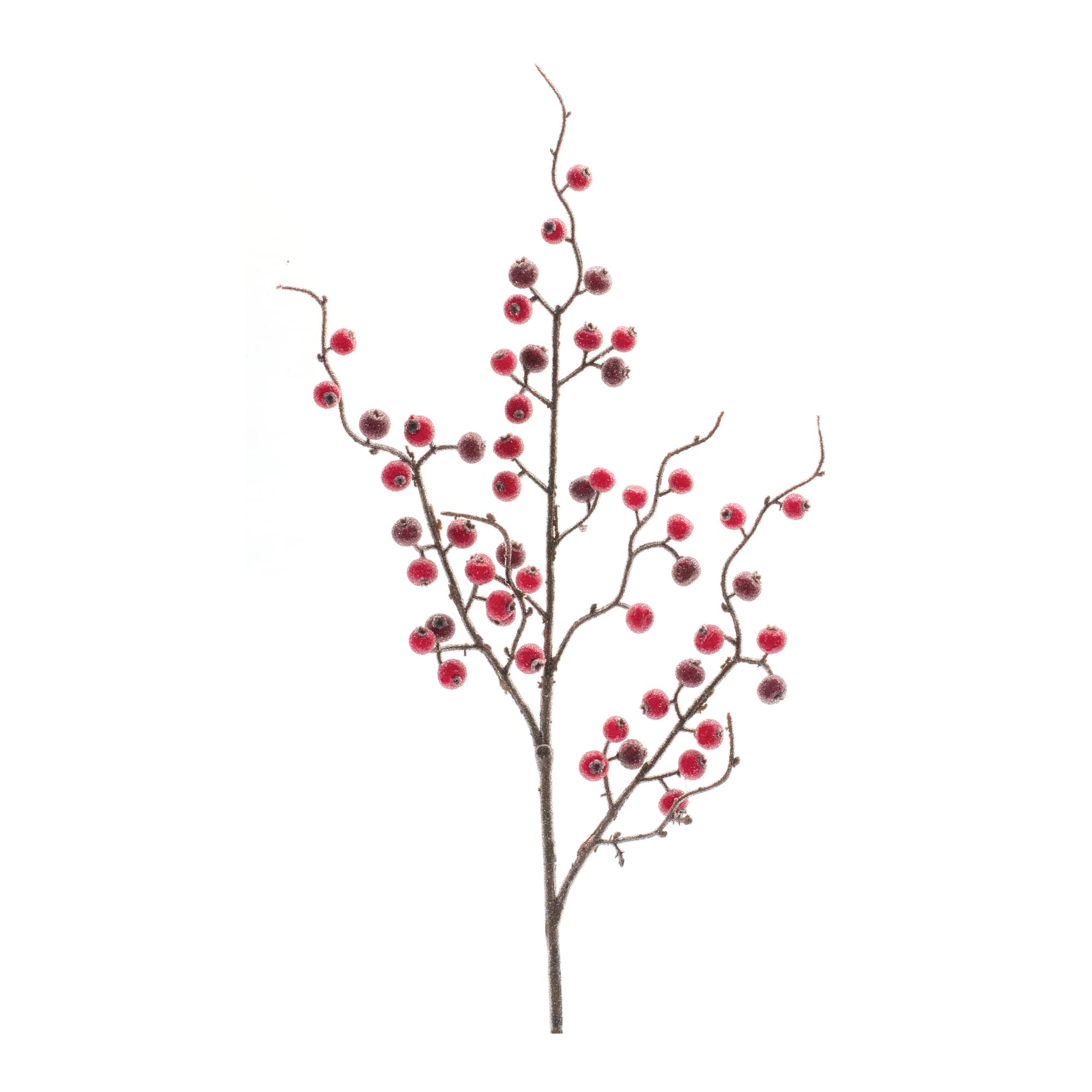 Iced Berry Twig Spray, 12ct.