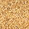 John Bead 11/0 Miyuki Delica Glass Seed Beads, 5g