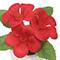 4" Geranium in White Pot by Ashland®