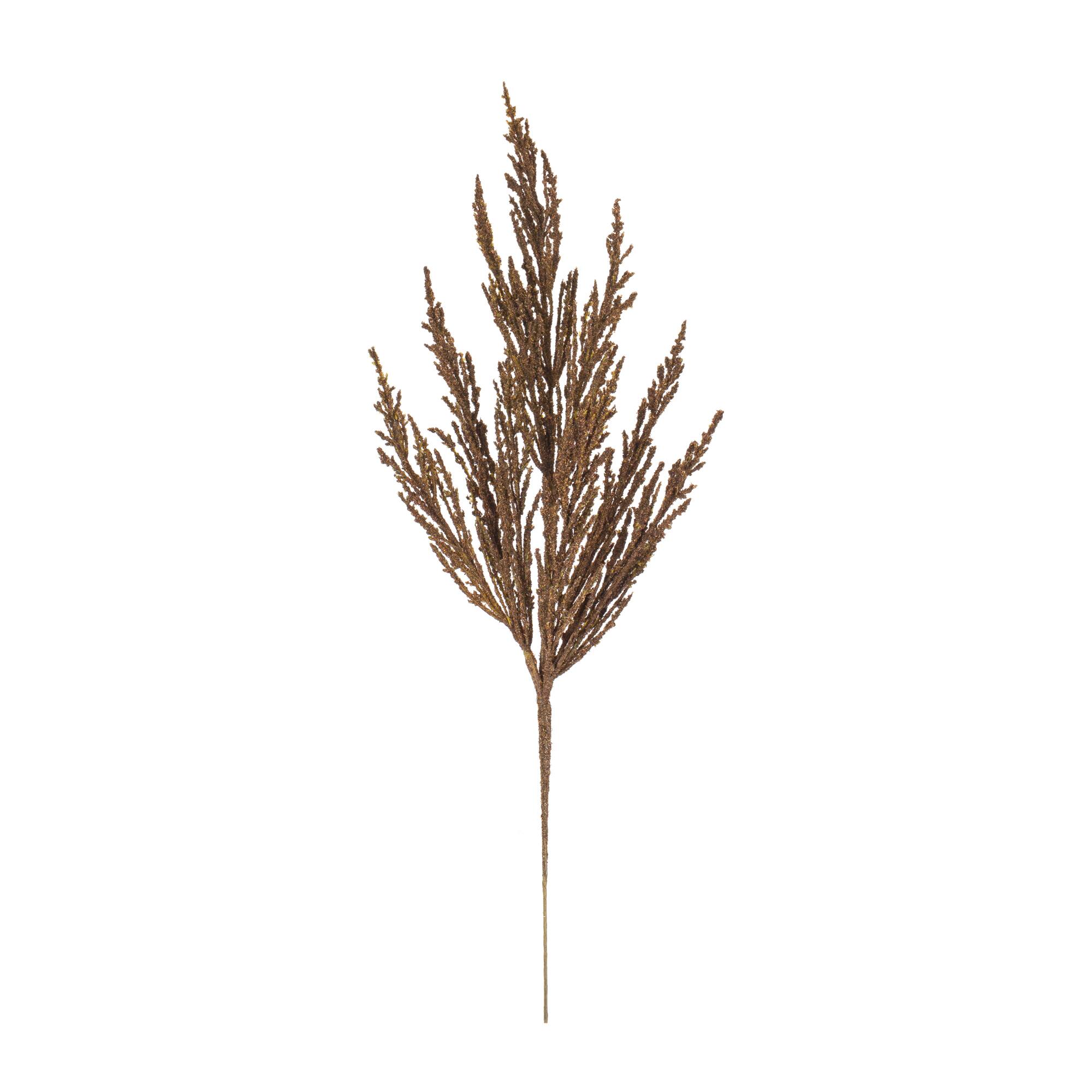 Brown Harvest Plume Stems, 6ct.