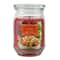 17oz. Fall Scented Jar Candle by Ashland®