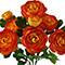 17.5" Ranunculus Bush by Ashland®