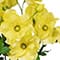 18" Butterfly Ranunculus Bush by Ashland®