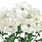 18" Butterfly Ranunculus Bush by Ashland®