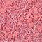 PME Cake Sweet Street™ 3.5 oz. Sprinkle Mix