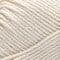 Caron® All Day Cotton™ Yarn