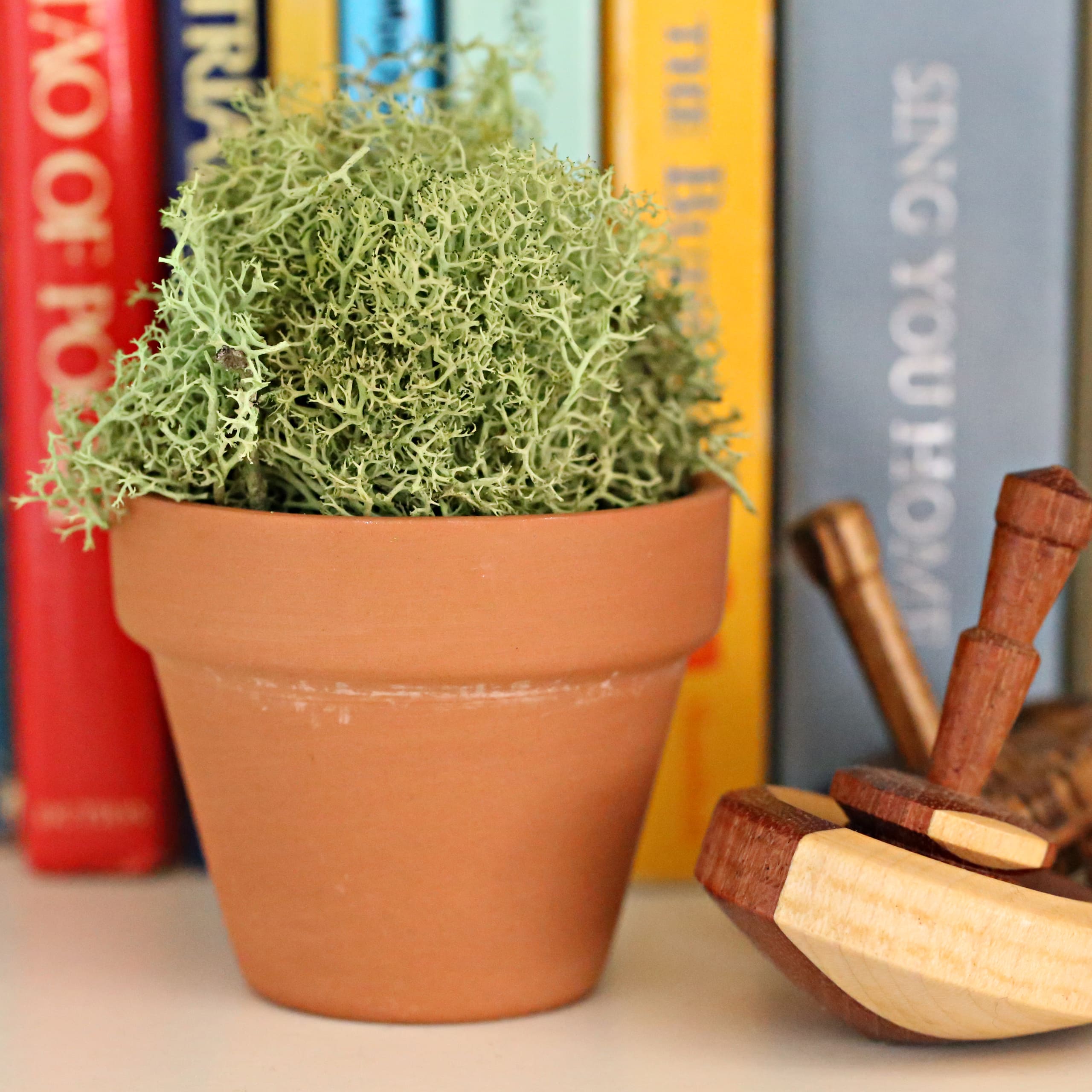 Clay Pot by Ashland®