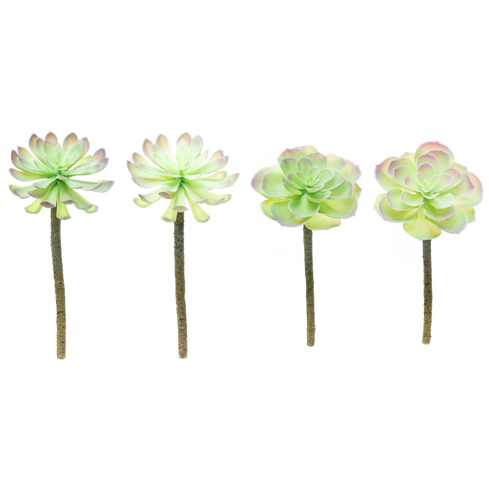 12 Pack: Assorted Red Tipped Succulent Pick by Ashland&#xAE;