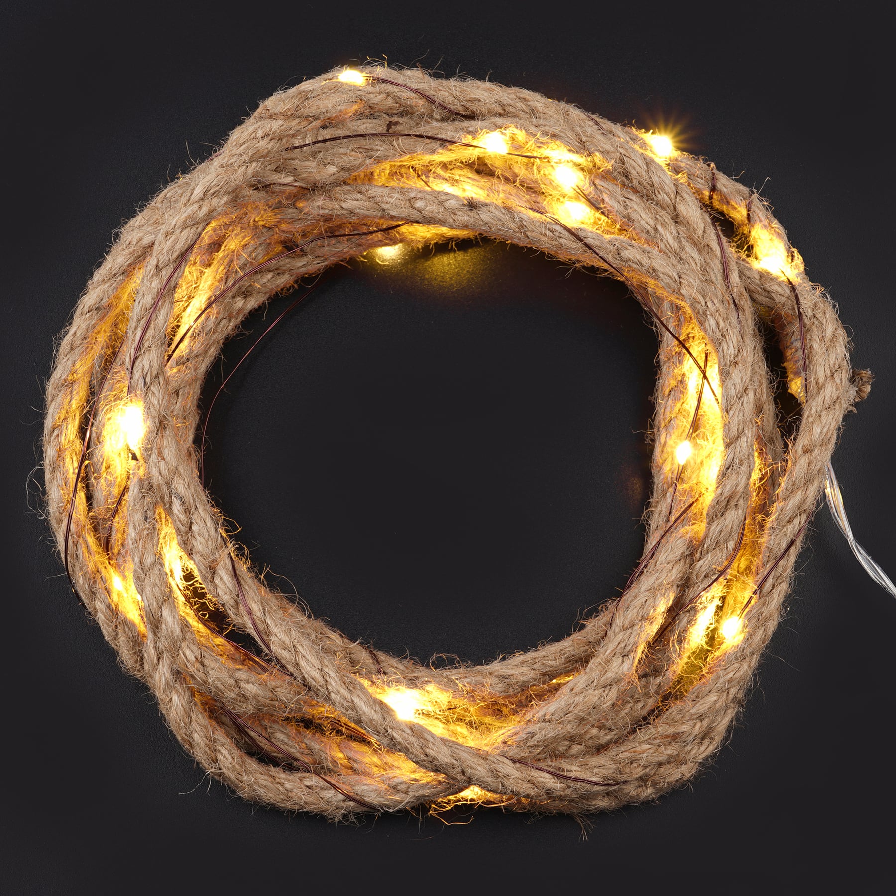 10ft. LED Rope String Lights by Ashland™
