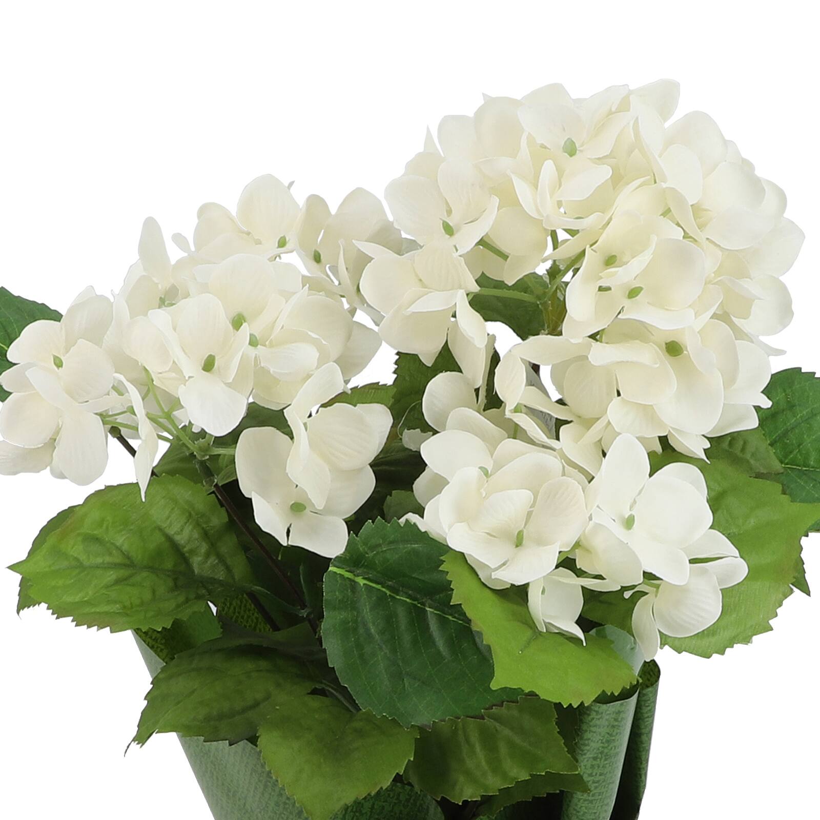 在michaels找到ashland 制作的盆栽白色绣球花 Betway官网